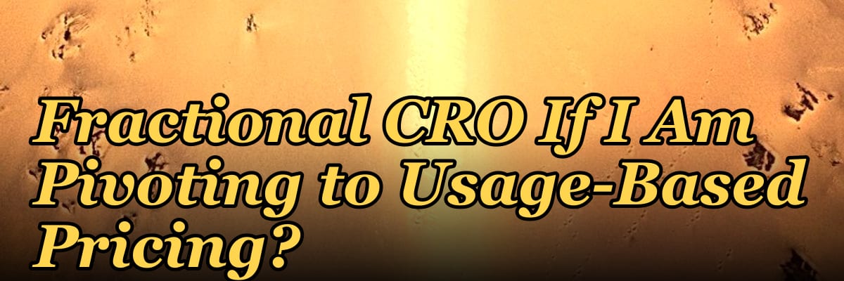 Should I Hire a Fractional CRO If I Am Pivoting to Usage-Based Pricing?