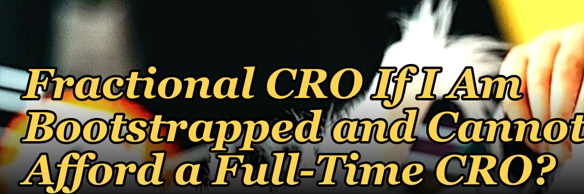 Should I Hire a Fractional CRO If I Am Bootstrapped and Cannot Afford a Full-Time CRO?