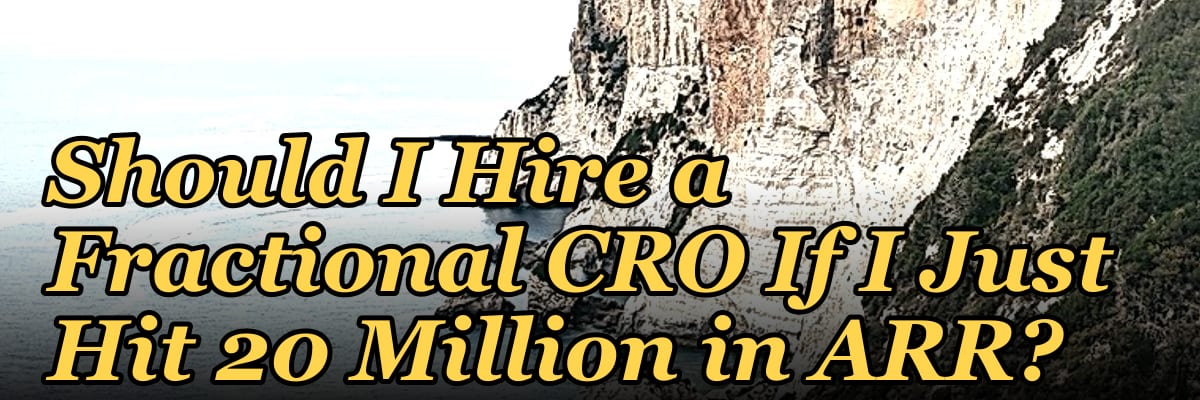 Should I Hire a Fractional CRO If I Just Hit 20 Million in ARR?