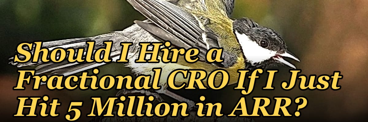 Should I Hire a Fractional CRO If I Just Hit 5 Million in ARR?