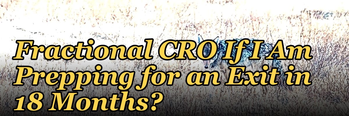 Should I Hire a Fractional CRO If I Am Prepping for an Exit in 18 Months?