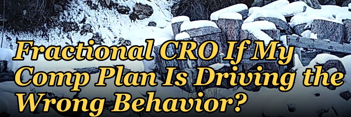 Should I Hire a Fractional CRO If My Comp Plan Is Driving the Wrong Behavior?