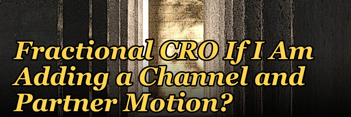 Should I Hire a Fractional CRO If I Am Adding a Channel and Partner Motion?