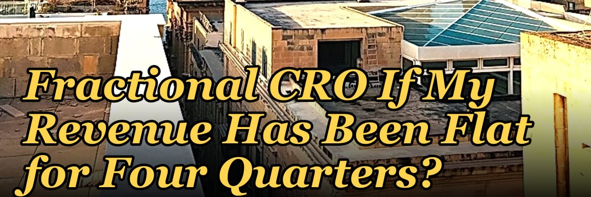 Should I Hire a Fractional CRO If My Revenue Has Been Flat for Four Quarters?