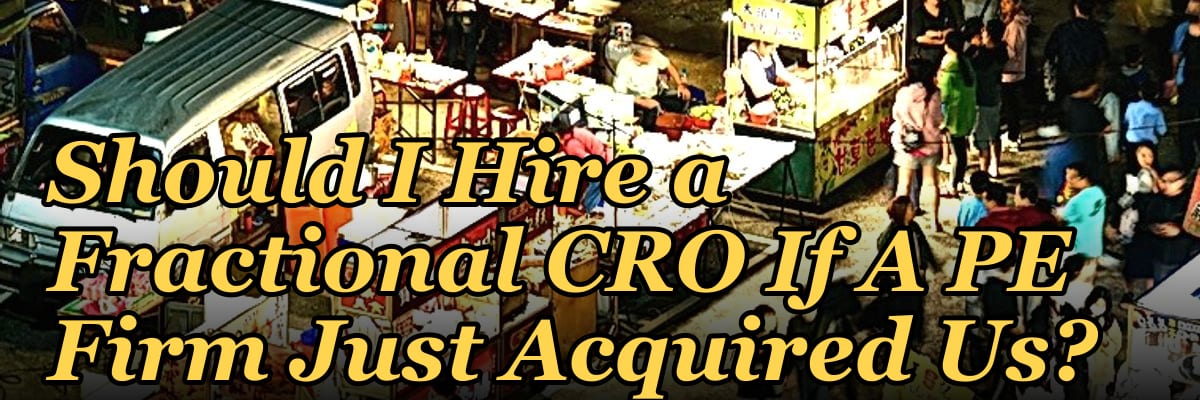 Should I Hire a Fractional CRO If A PE Firm Just Acquired Us?