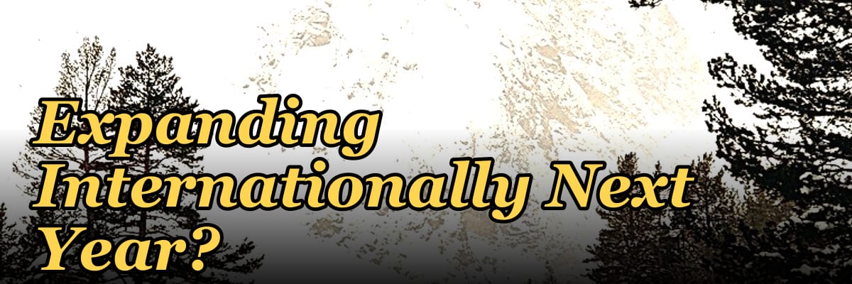 Should I Hire a Fractional CRO If I Am Expanding Internationally Next Year?