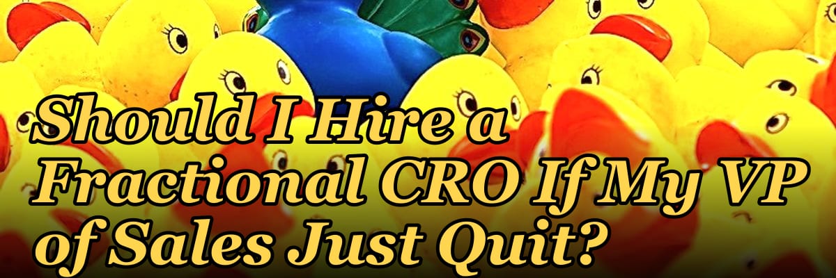 Should I Hire a Fractional CRO If My VP of Sales Just Quit?