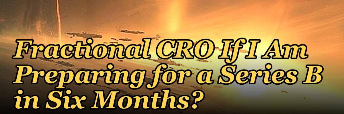 Should I Hire a Fractional CRO If I Am Preparing for a Series B in Six Months?