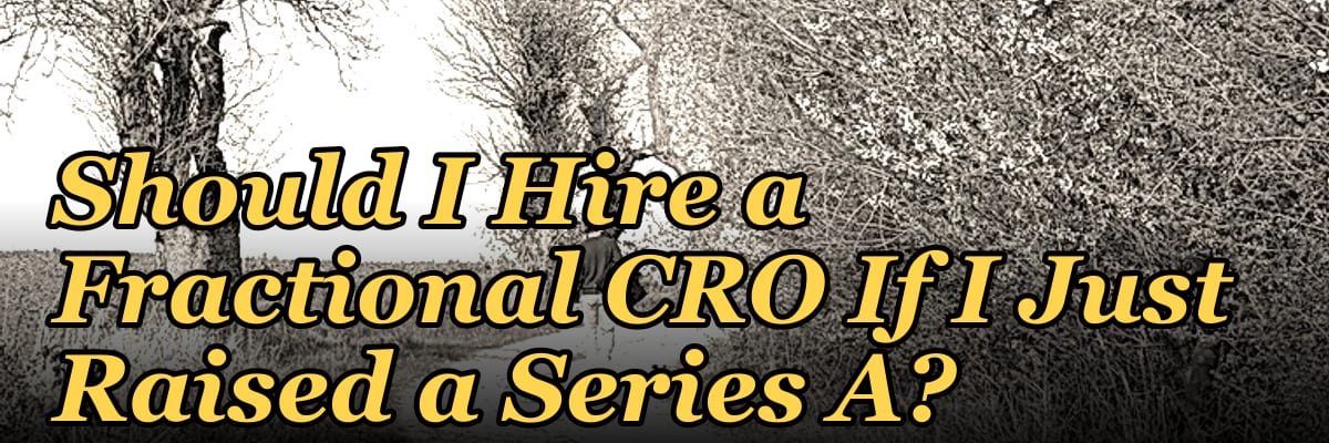 Should I Hire a Fractional CRO If I Just Raised a Series A?