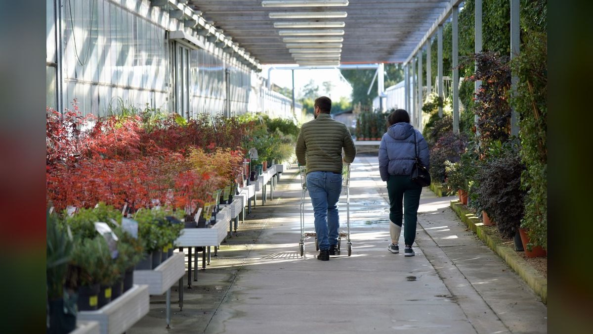 How Do I Get My Garden Center Staff to Sell Soil and Fertilizer Add-Ons — figure 1
