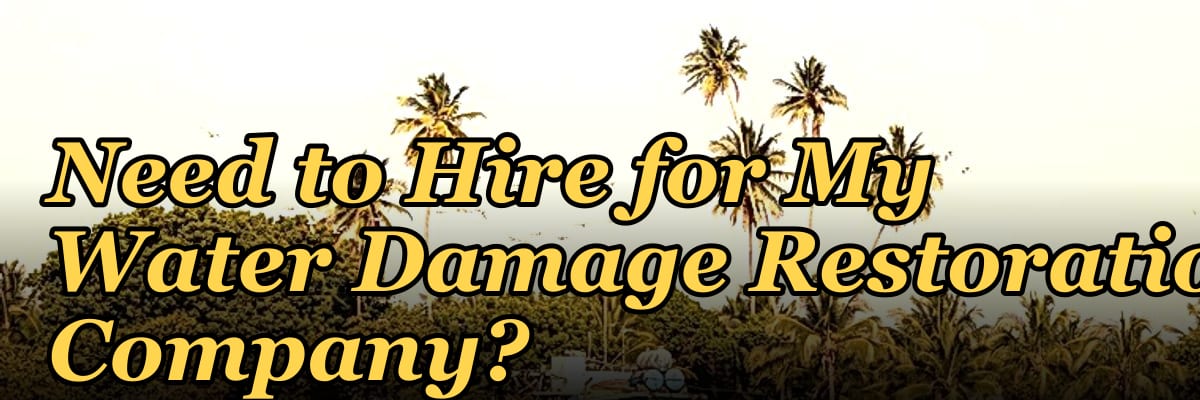How Many Sales Reps Do I Need to Hire for My Water Damage Restoration Company?