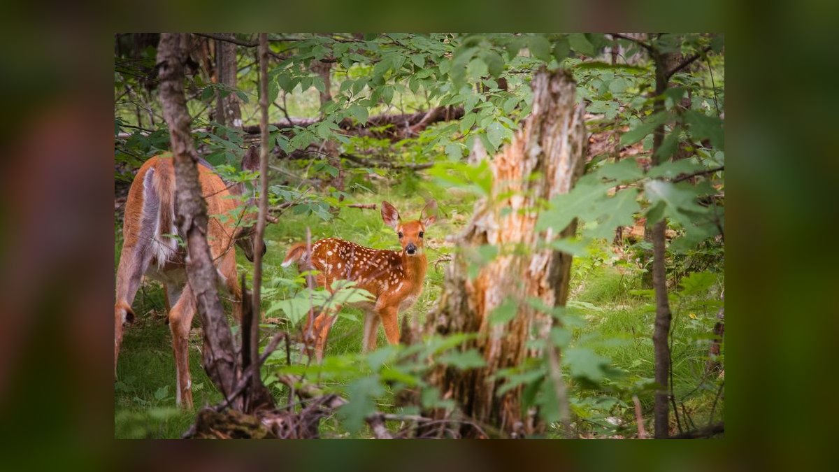 How Many Sales Reps Do I Need to Hire for My Artificial Turf Company — figure 10
