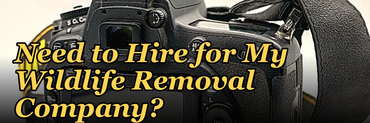 How Many Sales Reps Do I Need to Hire for My Wildlife Removal Company?