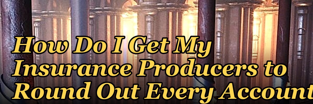 How Do I Get My Insurance Producers to Round Out Every Account?