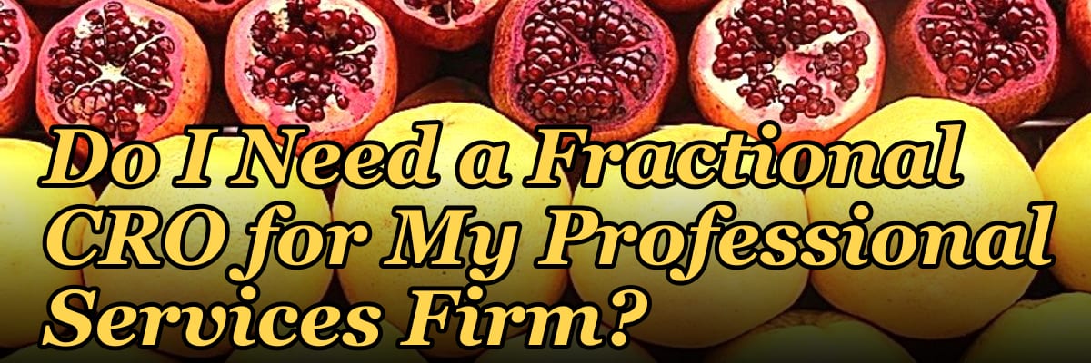Do I Need a Fractional CRO for My Professional Services Firm?