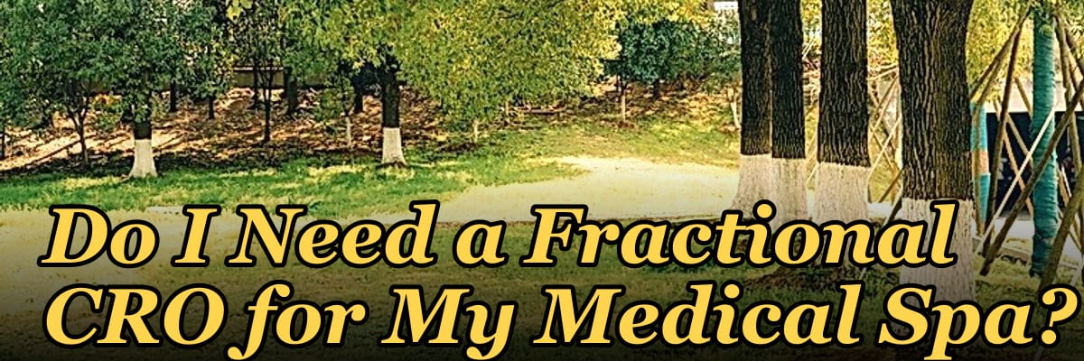 Do I Need a Fractional CRO for My Medical Spa?