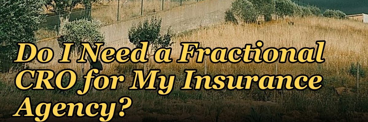 Do I Need a Fractional CRO for My Insurance Agency?