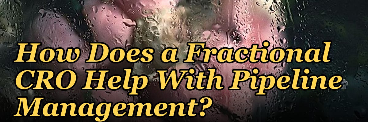 How Does a Fractional CRO Help With Pipeline Management?