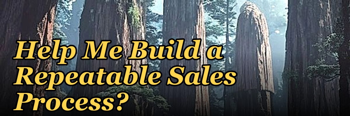 Can a Fractional CRO Help Me Build a Repeatable Sales Process?