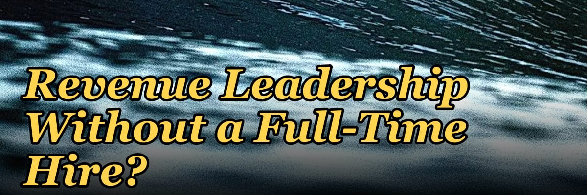 How Do I Get Affordable Revenue Leadership Without a Full-Time Hire?