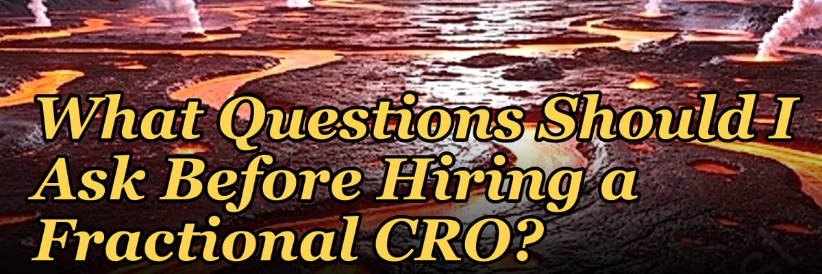 What Questions Should I Ask Before Hiring a Fractional CRO?
