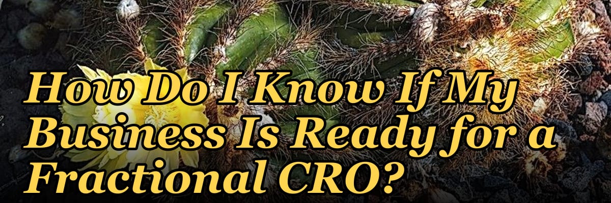 How Do I Know If My Business Is Ready for a Fractional CRO?