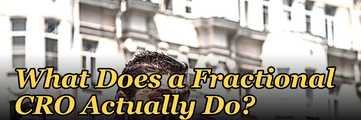 What Does a Fractional CRO Actually Do?