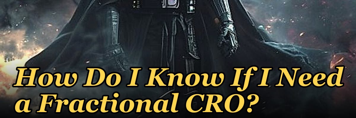 How Do I Know If I Need a Fractional CRO?