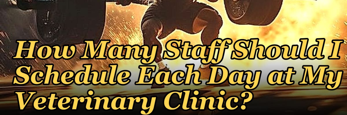 How Many Staff Should I Schedule Each Day at My Veterinary Clinic?
