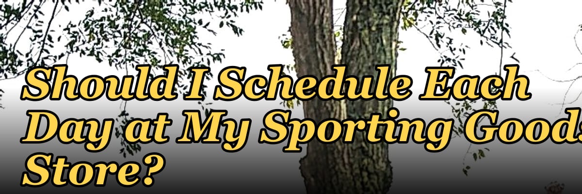 How Many Salespeople Should I Schedule Each Day at My Sporting Goods Store?