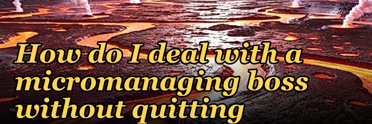 How do I deal with a micromanaging boss without quitting