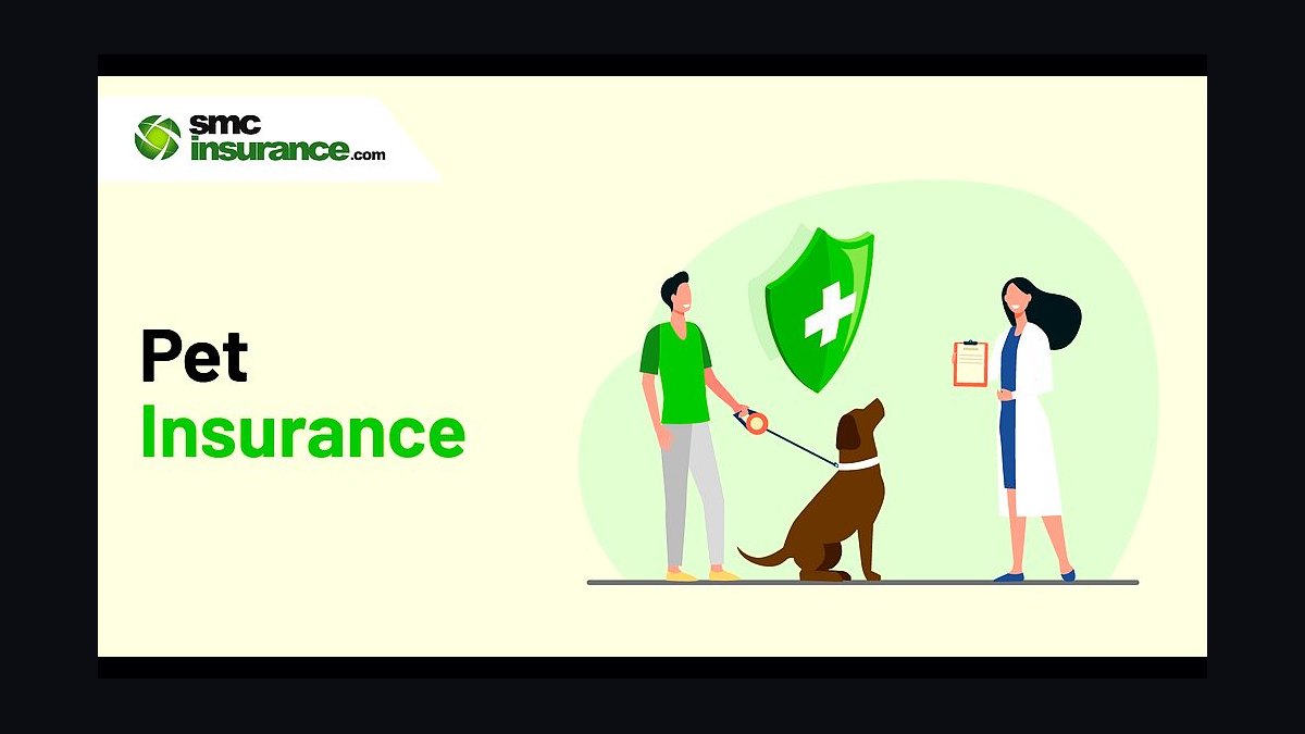 Best pet insurance plans for dogs and cats in 2027 — figure 3