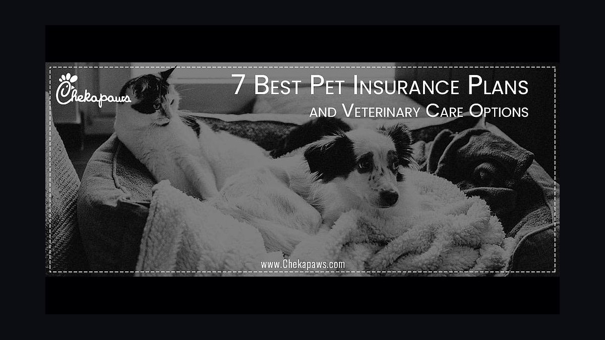 Best pet insurance plans for dogs and cats in 2027 — figure 5