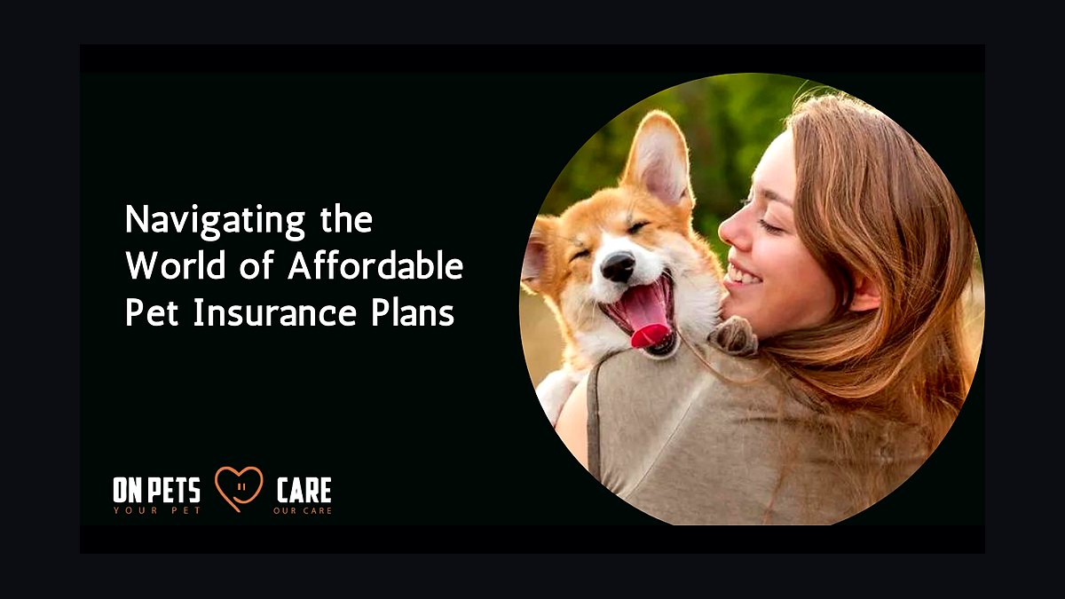Best pet insurance plans for dogs and cats in 2027