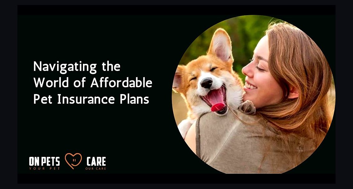 Best pet insurance plans for dogs and cats in 2027