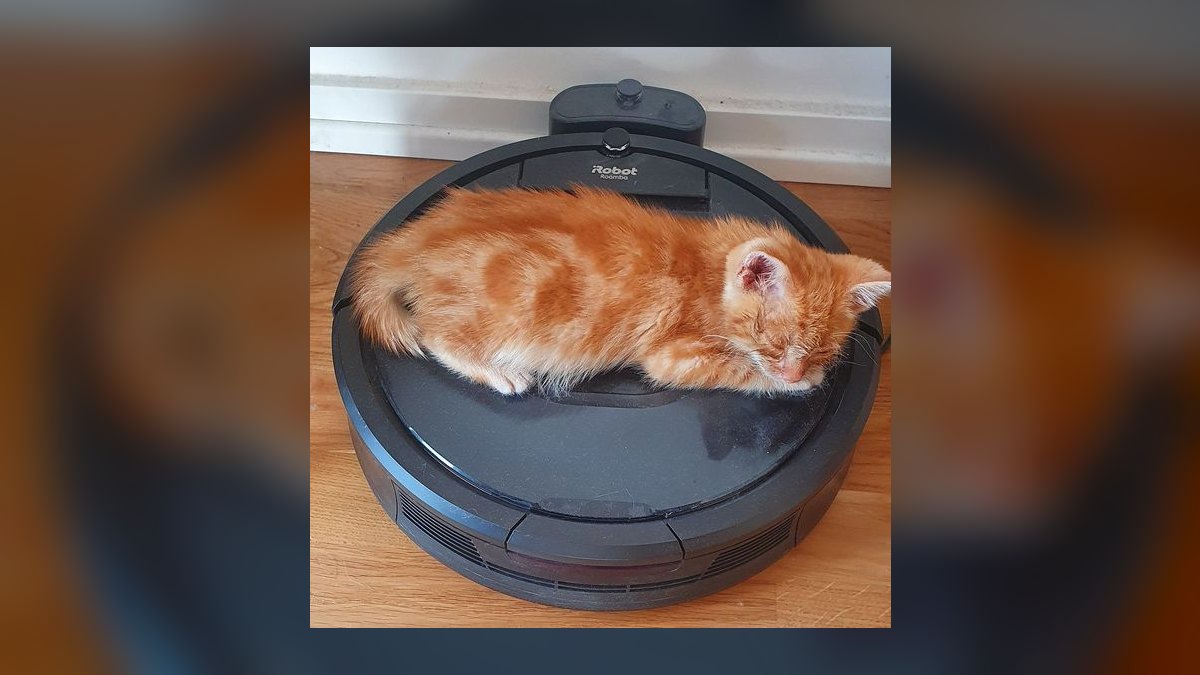 Best robot vacuums for pet hair and hardwood floors in 2027 — figure 1