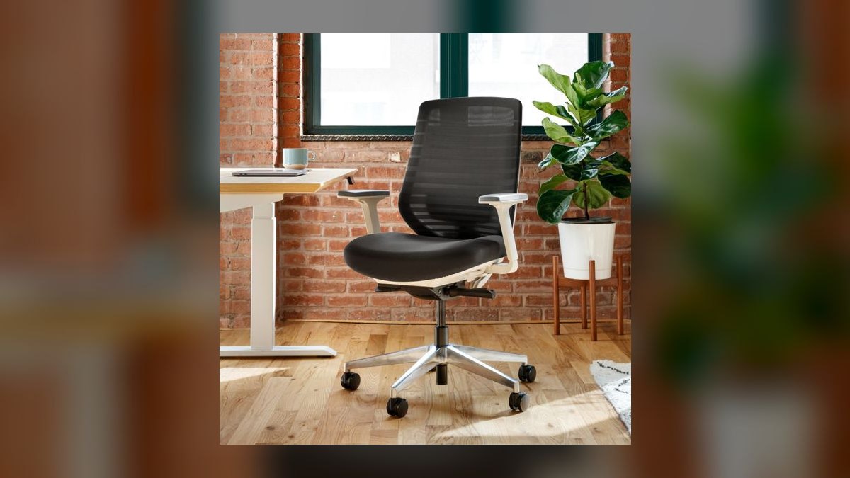 Top 10 Ergonomic Office Chairs — Best Overall + Best Value in 2027 — figure 6