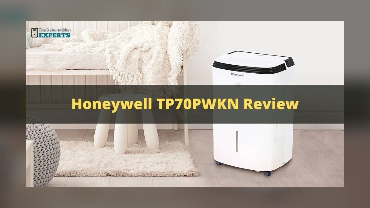 Top 10 Dehumidifiers — Best Overall + Best Value in 2027 — figure 5