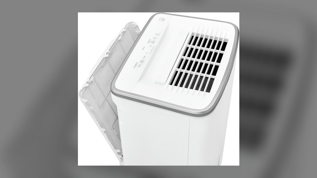Top 10 Dehumidifiers — Best Overall + Best Value in 2027