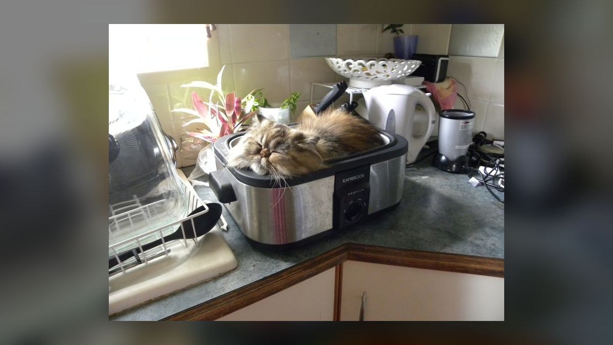 Top 10 Slow Cookers — Best Overall + Best Value in 2027 — figure 2