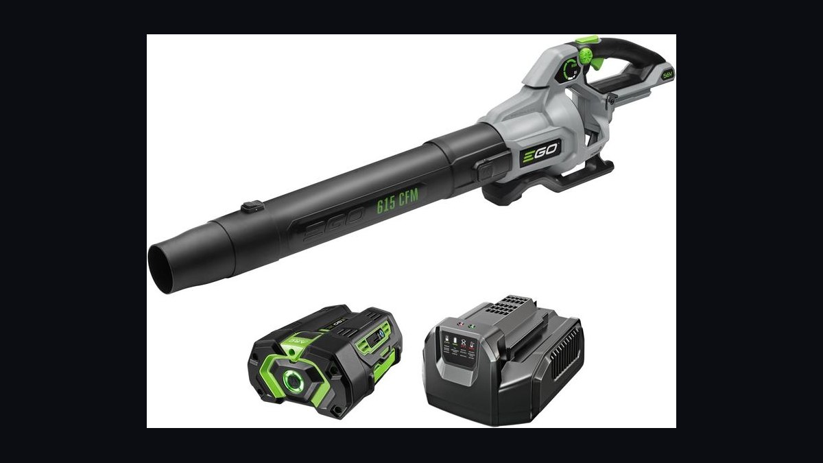 Top 10 Battery Leaf Blowers — Best Overall + Best Value in 2027