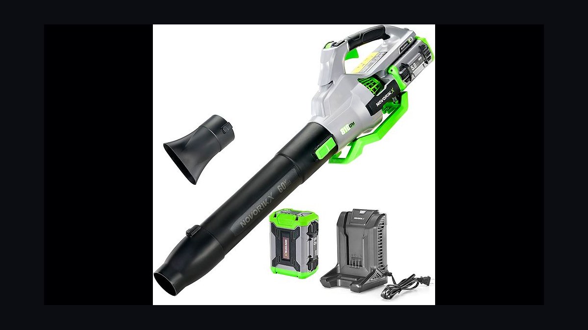 Top 10 Battery Leaf Blowers — Best Overall + Best Value in 2027