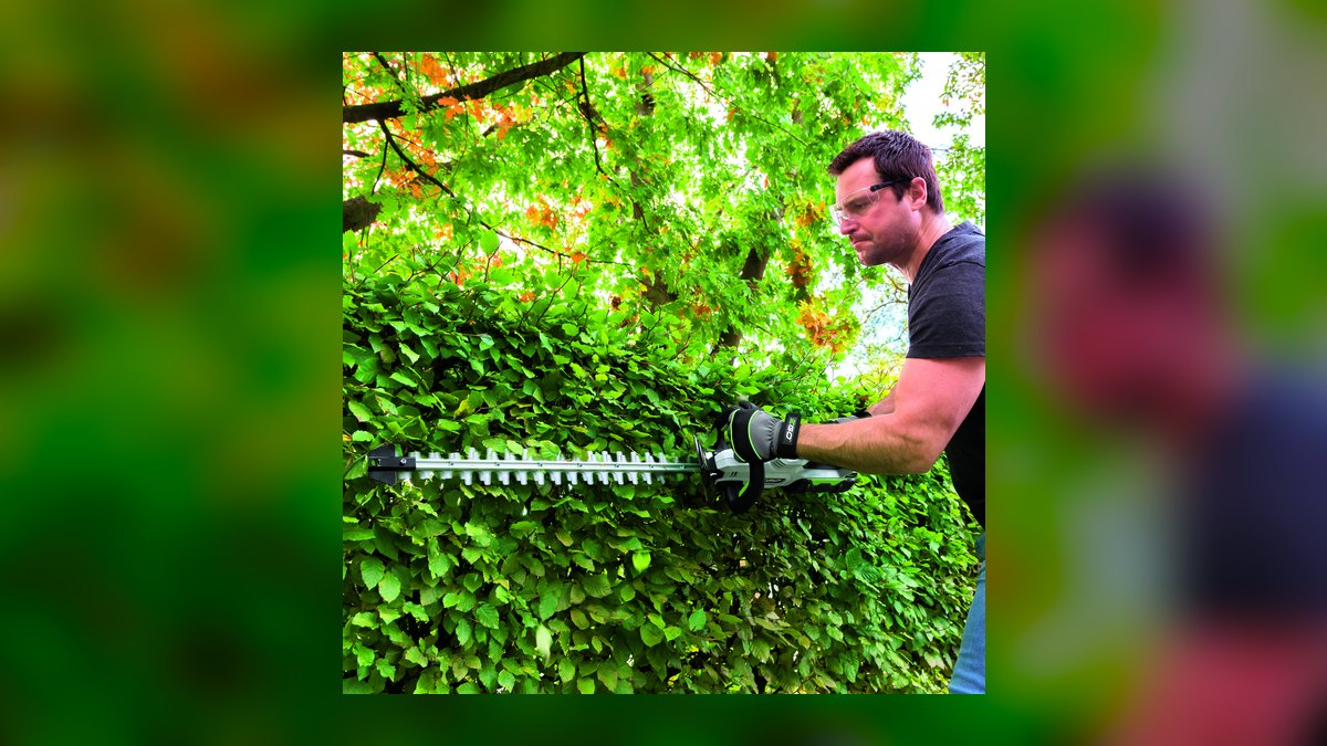 Top 10 Battery Hedge Trimmers — Best Overall + Best Value in 2027 — figure 1