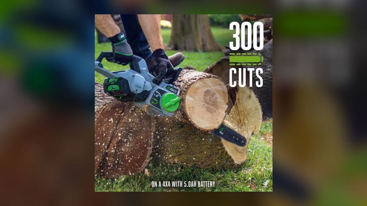 Top 10 Battery Chainsaws — Best Overall + Best Value in 2027 — figure 1