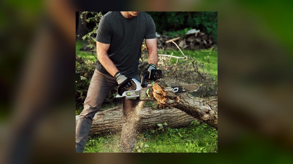 Top 10 Battery Chainsaws — Best Overall + Best Value in 2027 — figure 5