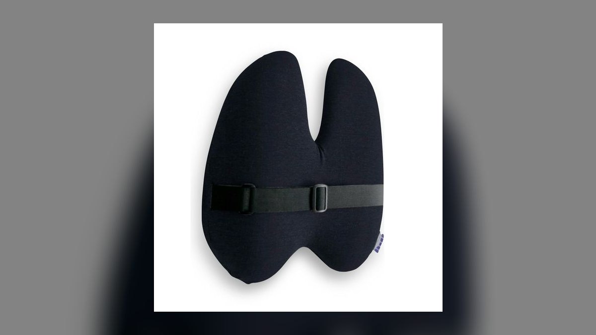Top 10 Lumbar Support Cushions for Long Sales Call Days in 2027 — figure 2