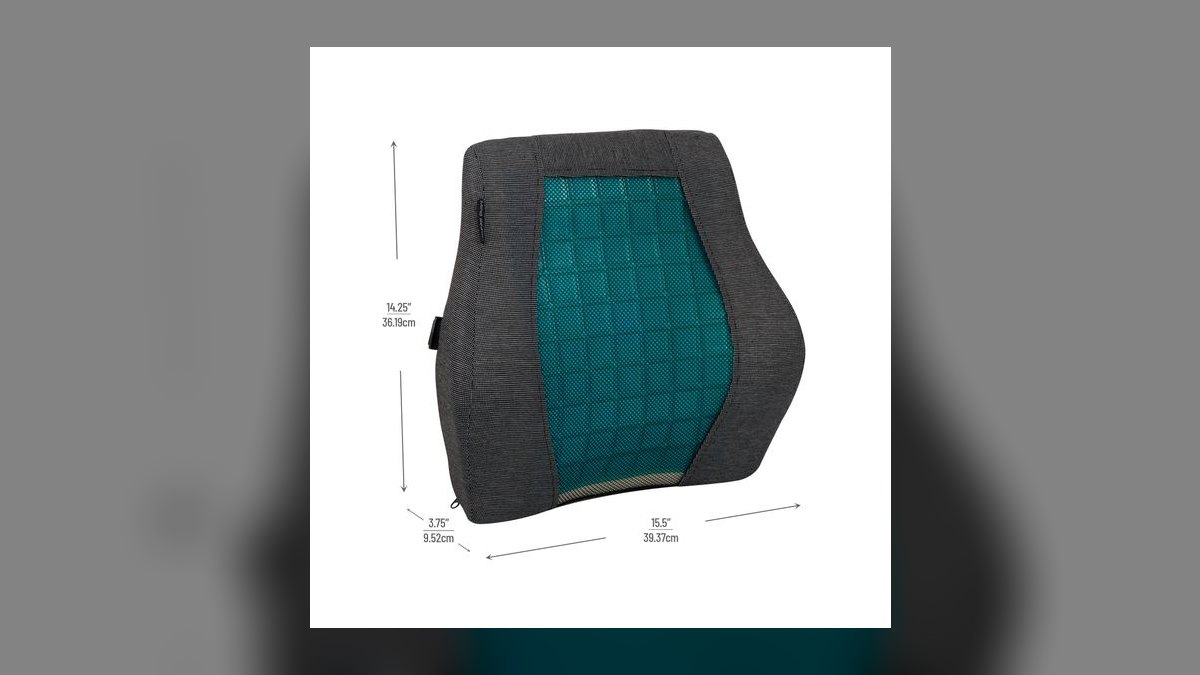 Top 10 Lumbar Support Cushions for Long Sales Call Days in 2027 — figure 8