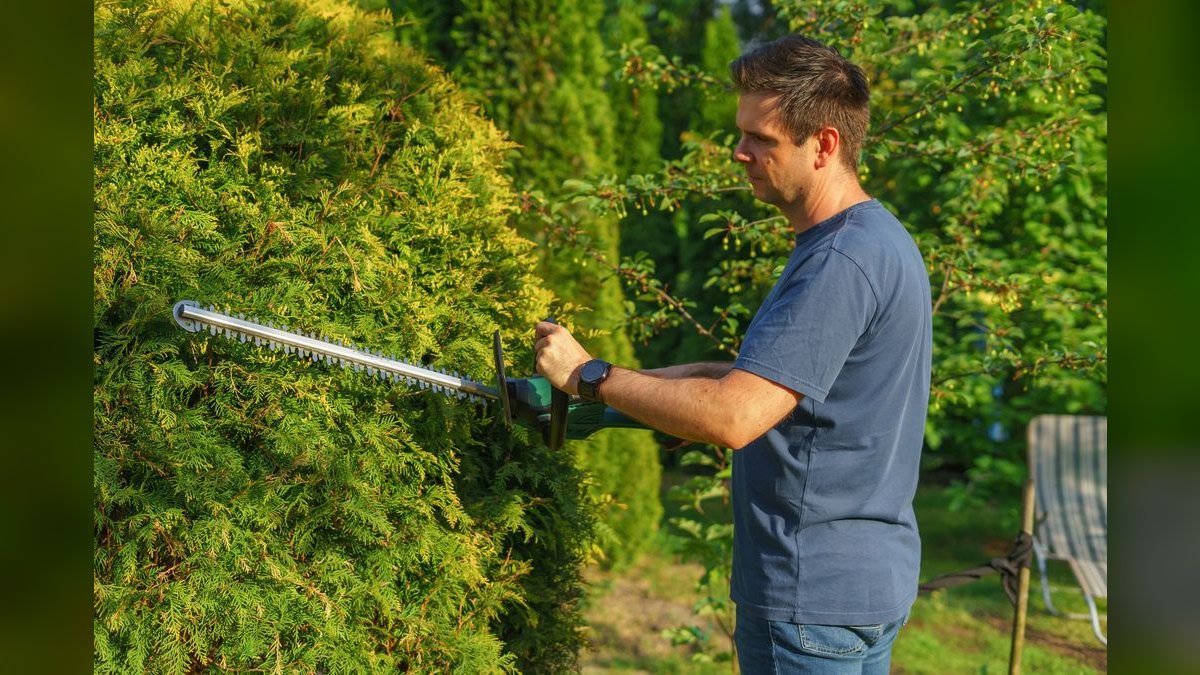 The 10 Best Hedge Trimmers in 2027 — figure 2