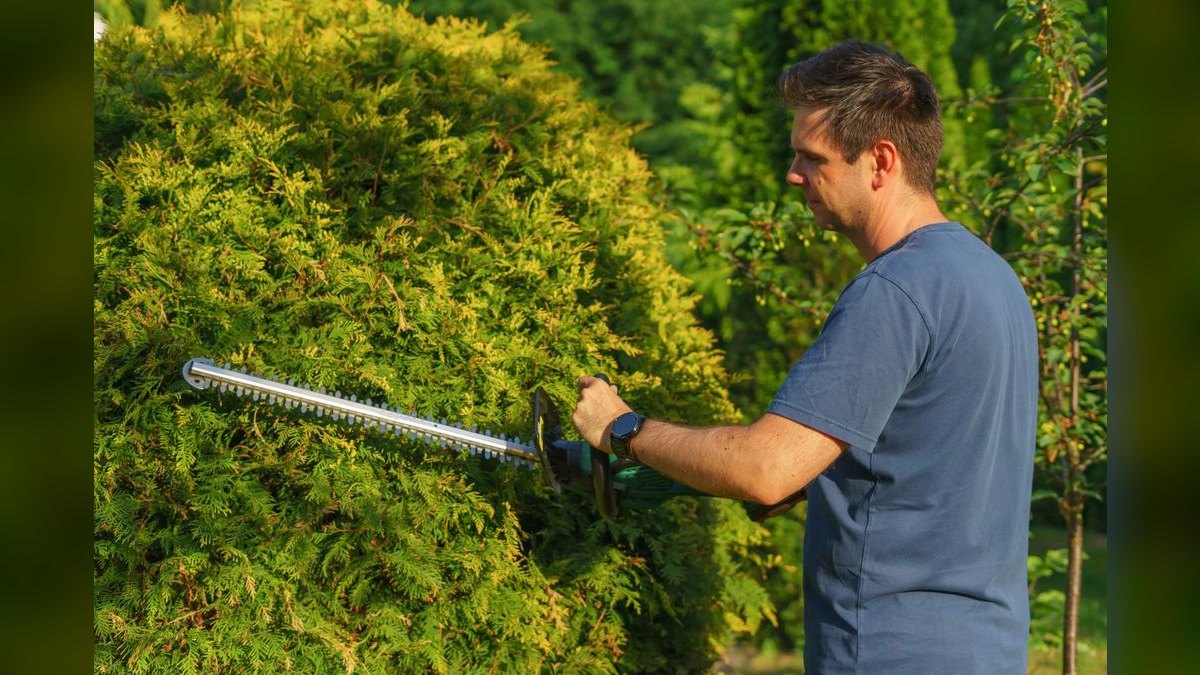 The 10 Best Hedge Trimmers in 2027 — figure 3