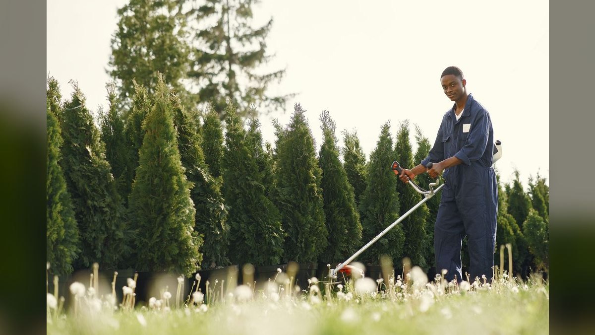 The 10 Best Hedge Trimmers in 2027 — figure 4